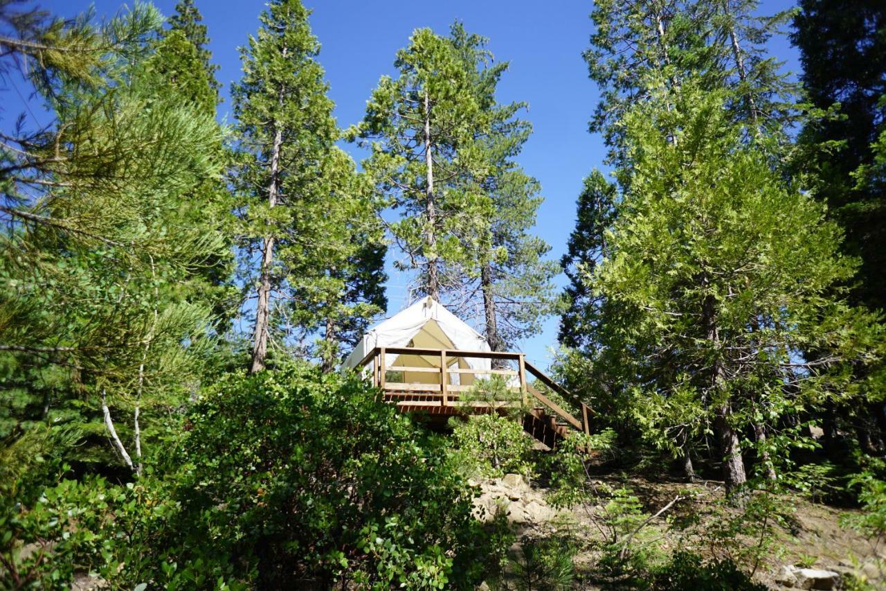 Shaver Lake Village Hotel Dış mekan fotoğraf